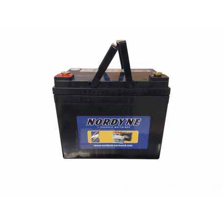 Batterie cyclage AGM 12V 39Ah pour chariot handicapé